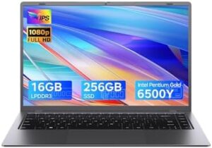 Zrasu 15.6 inch Laptop with Pentium Gold 6500Y(Up to 3.4GHz), 16GB RAM 256GB SSD,1080P Full HD, USB-C,WiFi 5,BT5.0,Gray Computer Laptops for School, Business : Electronics