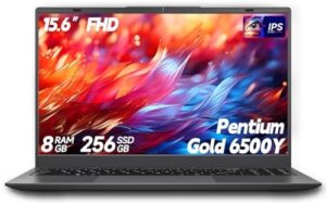 BLUEING Laptop Computer, 8GB RAM 256GB SSD, Laptop with Gold 6500Y (Beat N5095, Up to 3.4GHz), 15.6 Inch FHD IPS Display, Type-C, HDMI, USB3.2, BT5.2, WiFi 5, Laptops : Electronics